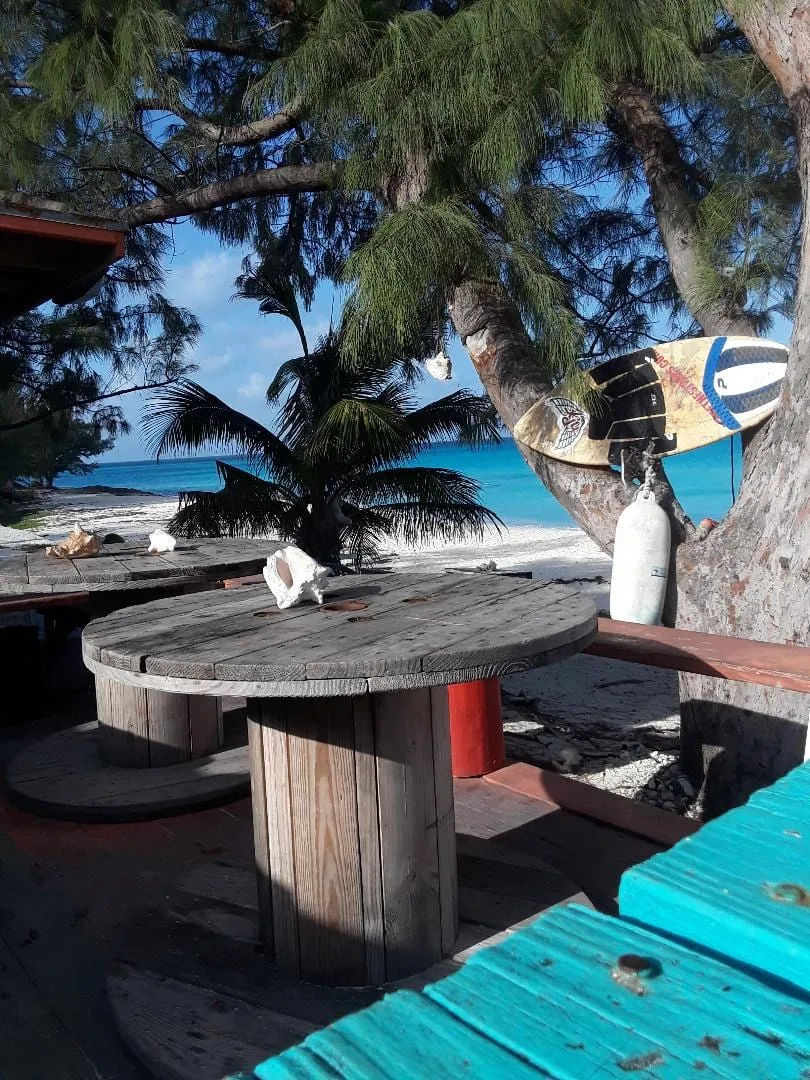 A shaded beach bar deck with a cable-spool table, palm trees and turquoise water beyond